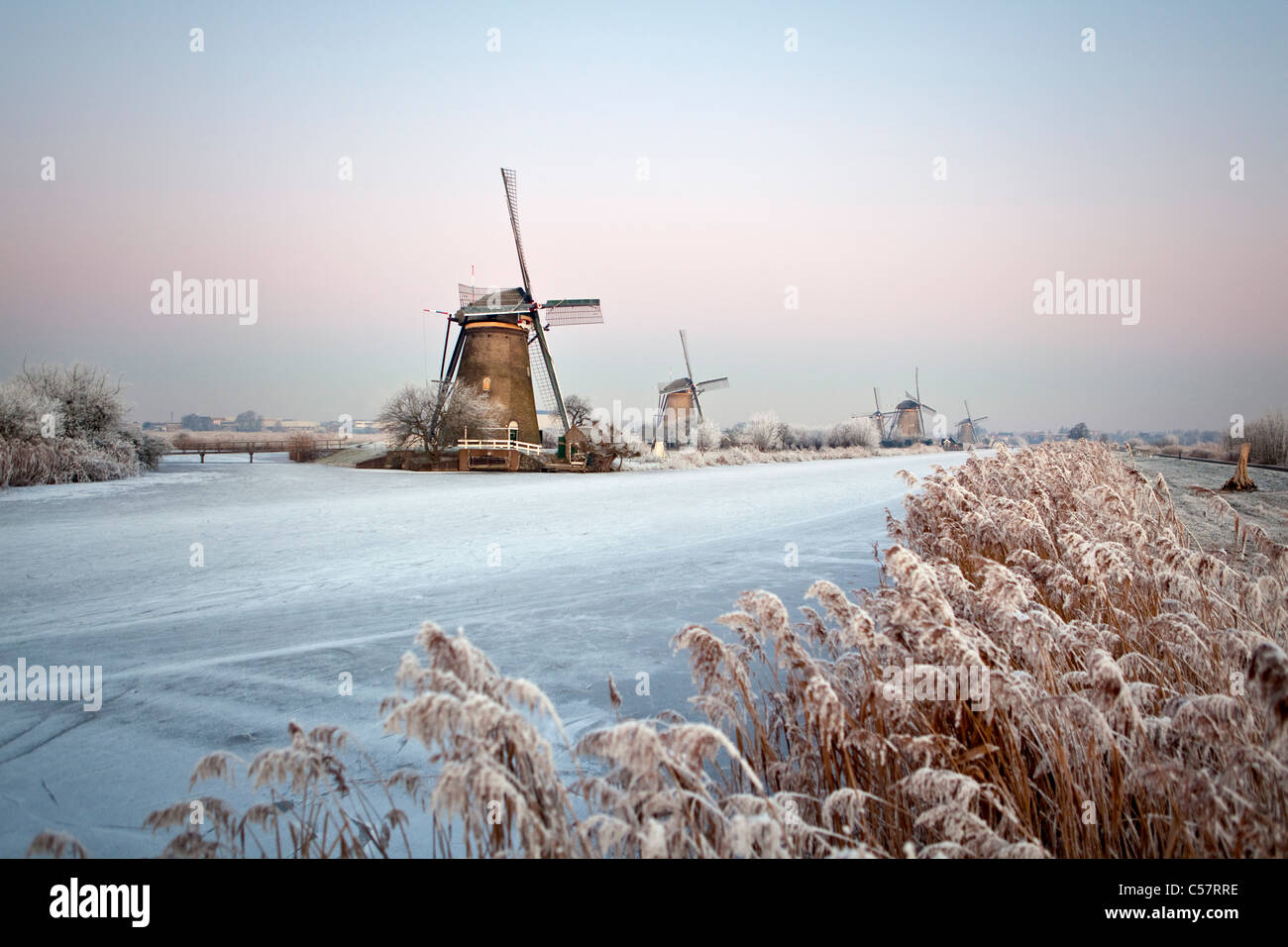 Les Pays-Bas, Kinderdijk, moulins à vent dans la neige, UNESCO World Heritage Site. Le lever du soleil. Banque D'Images