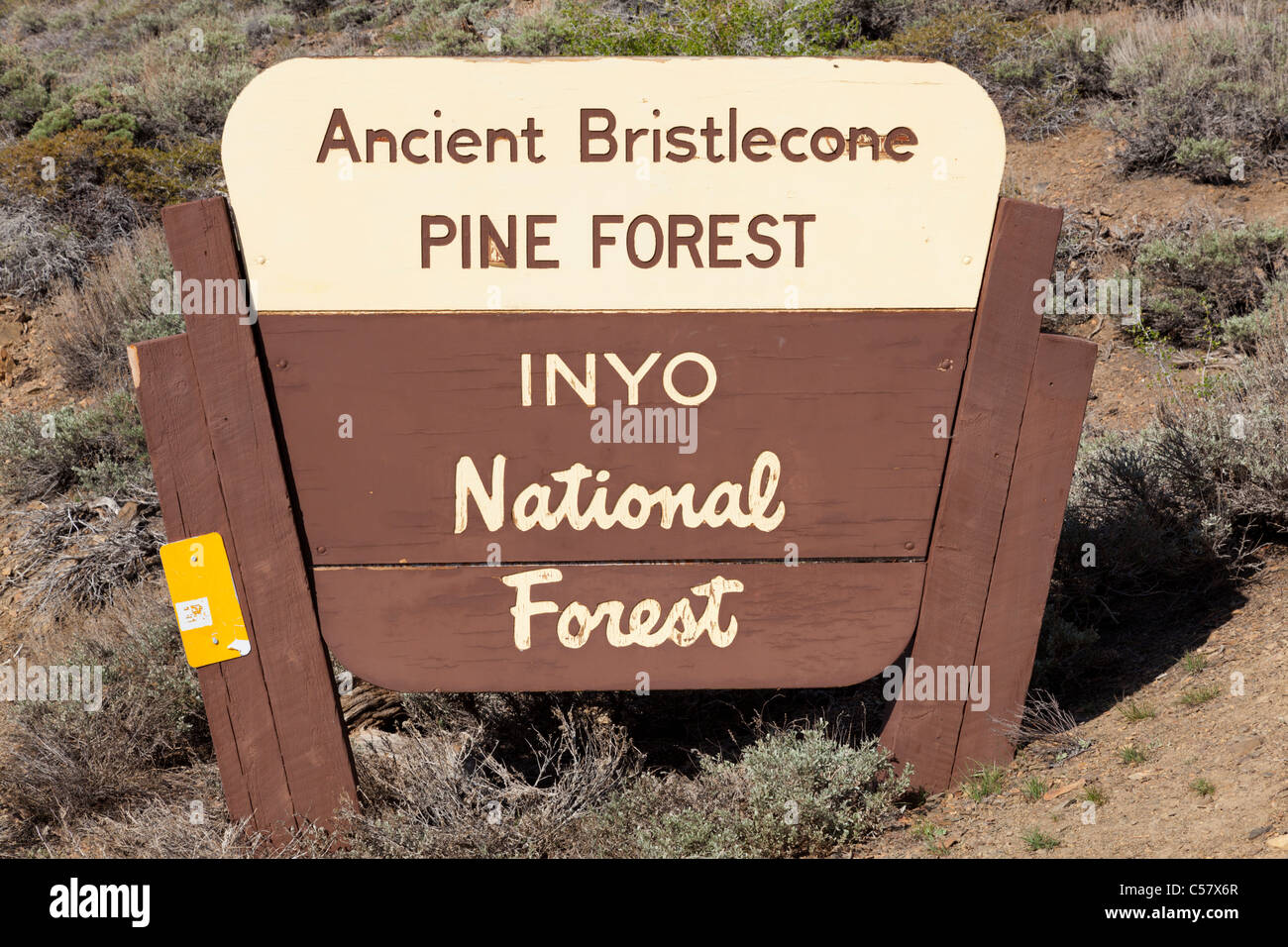 Ancient Bristlecone Pine Forest Inyo National Forest panneau en bois California USA United States of America Banque D'Images