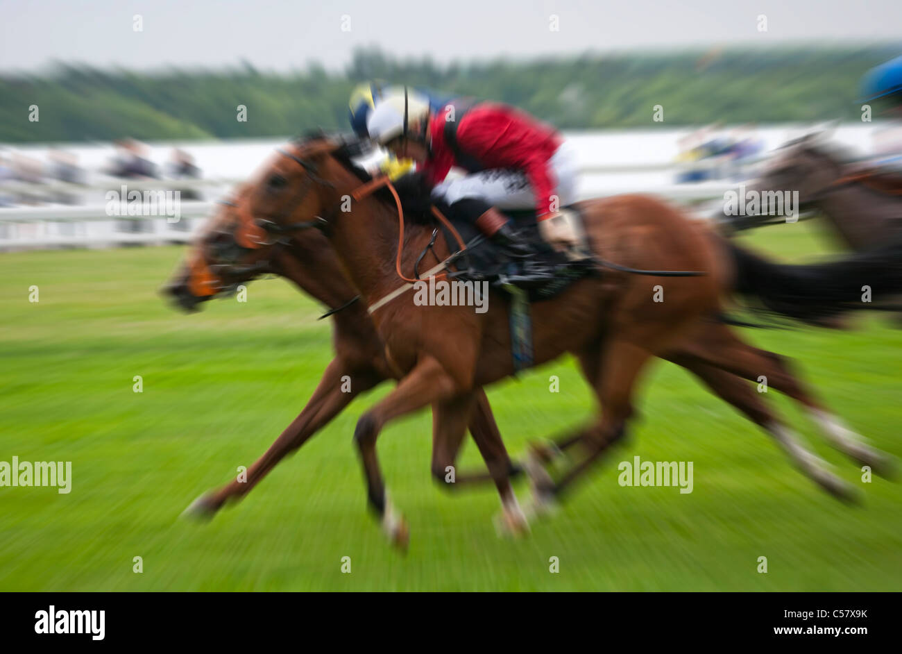 Horse Rider Royal Ascot race sport Reine Angleterre Banque D'Images