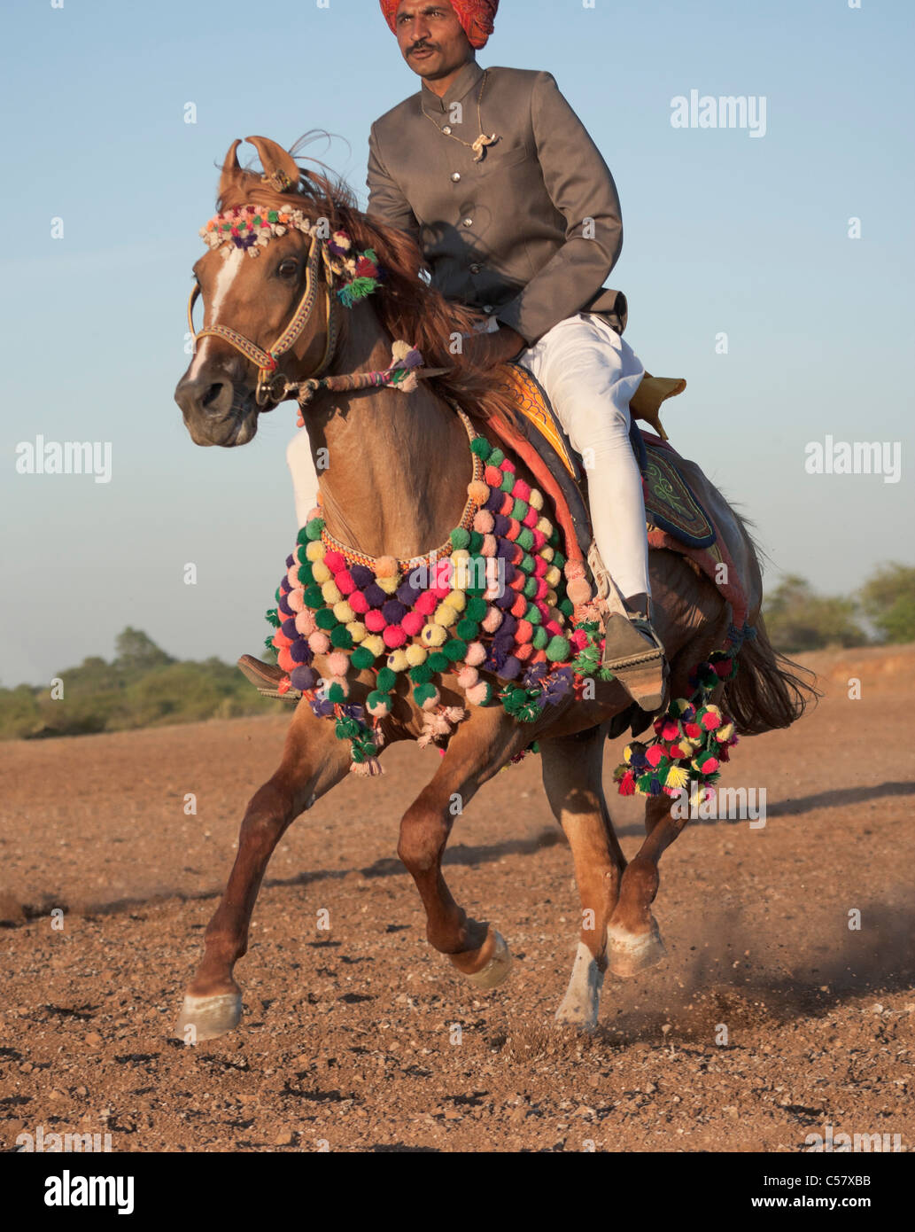 Horse Rider tradition indienne Inde Rajasthan man Banque D'Images