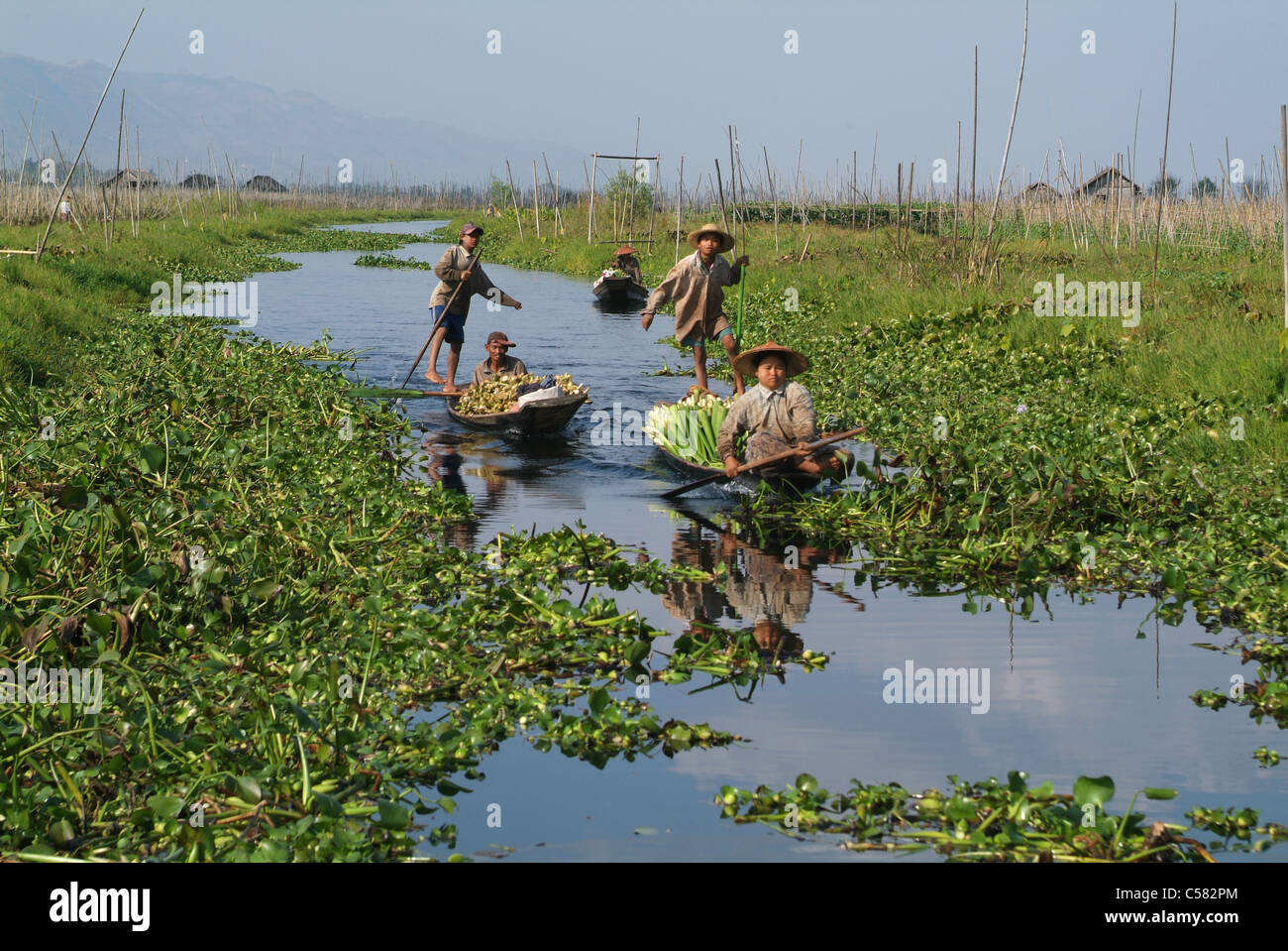 L'Asie, Birmanie, Myanmar, Bagan, Inle Lake, de l'agriculture, en canoë, les agriculteurs, Banque D'Images