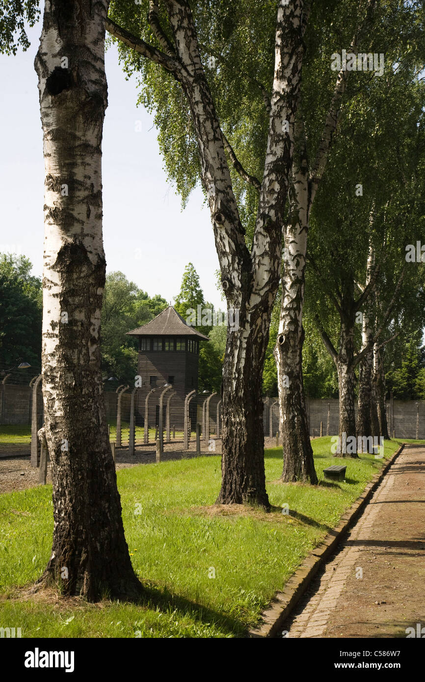 Un tour de garde en bois le long des clôtures perimter au camp de concentration d'Auschwitz en Pologne, l'Europe de l'Est Banque D'Images