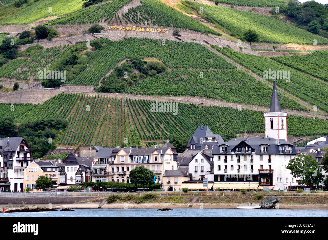 Assmannshausen, patrimoine mondial de l'UNESCO, vallée du Rhin, le Rhin, Hesse, Allemagne, Europe, la culture du vin, des vignes Banque D'Images
