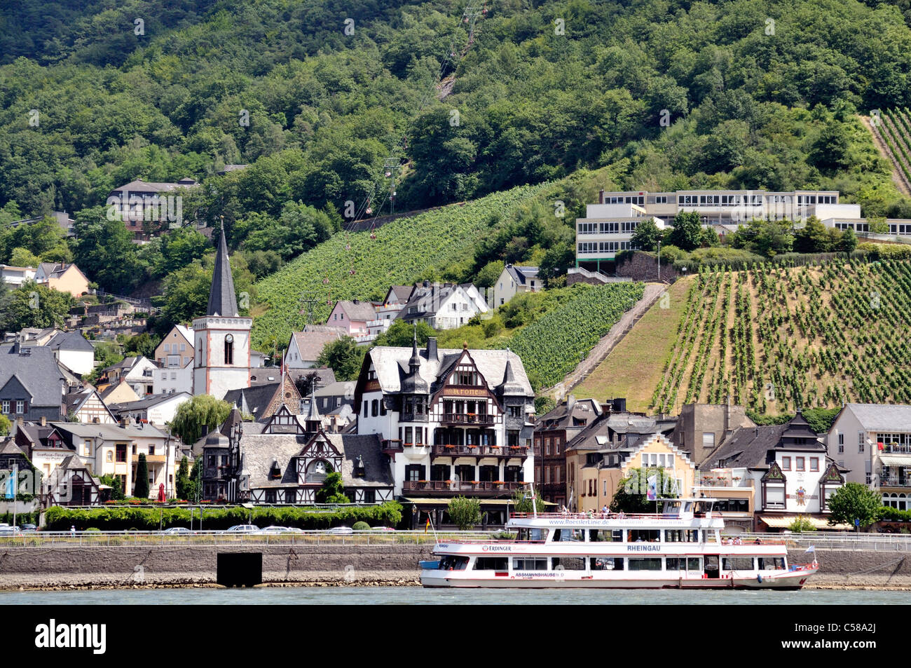 Assmannshausen, patrimoine mondial de l'UNESCO, vallée du Rhin, le Rhin, Hesse, Allemagne, Europe, la culture du vin, vignobles, navire Banque D'Images