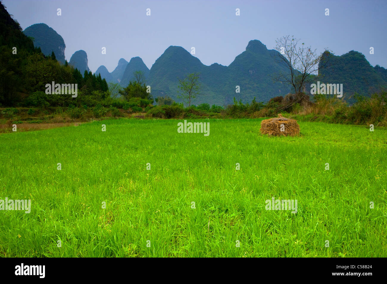 Guilin, Chine, Asie, champs, montagne, paysage karstique, karst, printemps Banque D'Images
