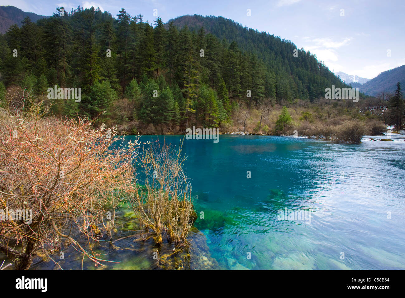 Xining, Chine, Asie, parc, printemps, lac, couleur azur, bois, forêt, arbustes, buissons, Banque D'Images