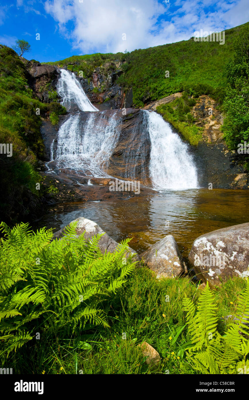 Luib, Grande Bretagne, Ecosse, Europe, island, île de Skye, ruisseau, cascade, rock, falaise, Fern Banque D'Images