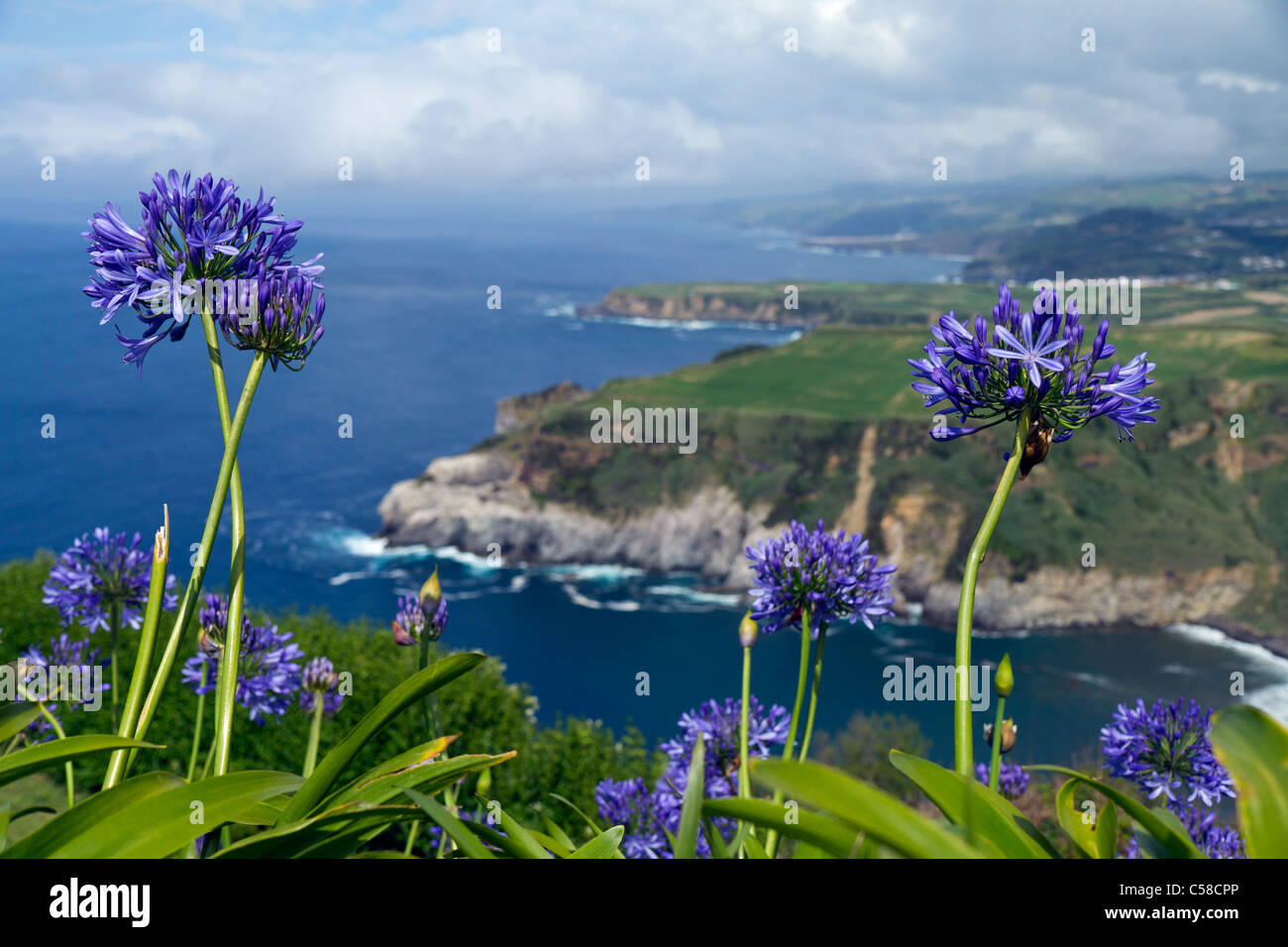 Belle vue de St Iria vue, l''île de São Miguel, aux Açores. Banque D'Images