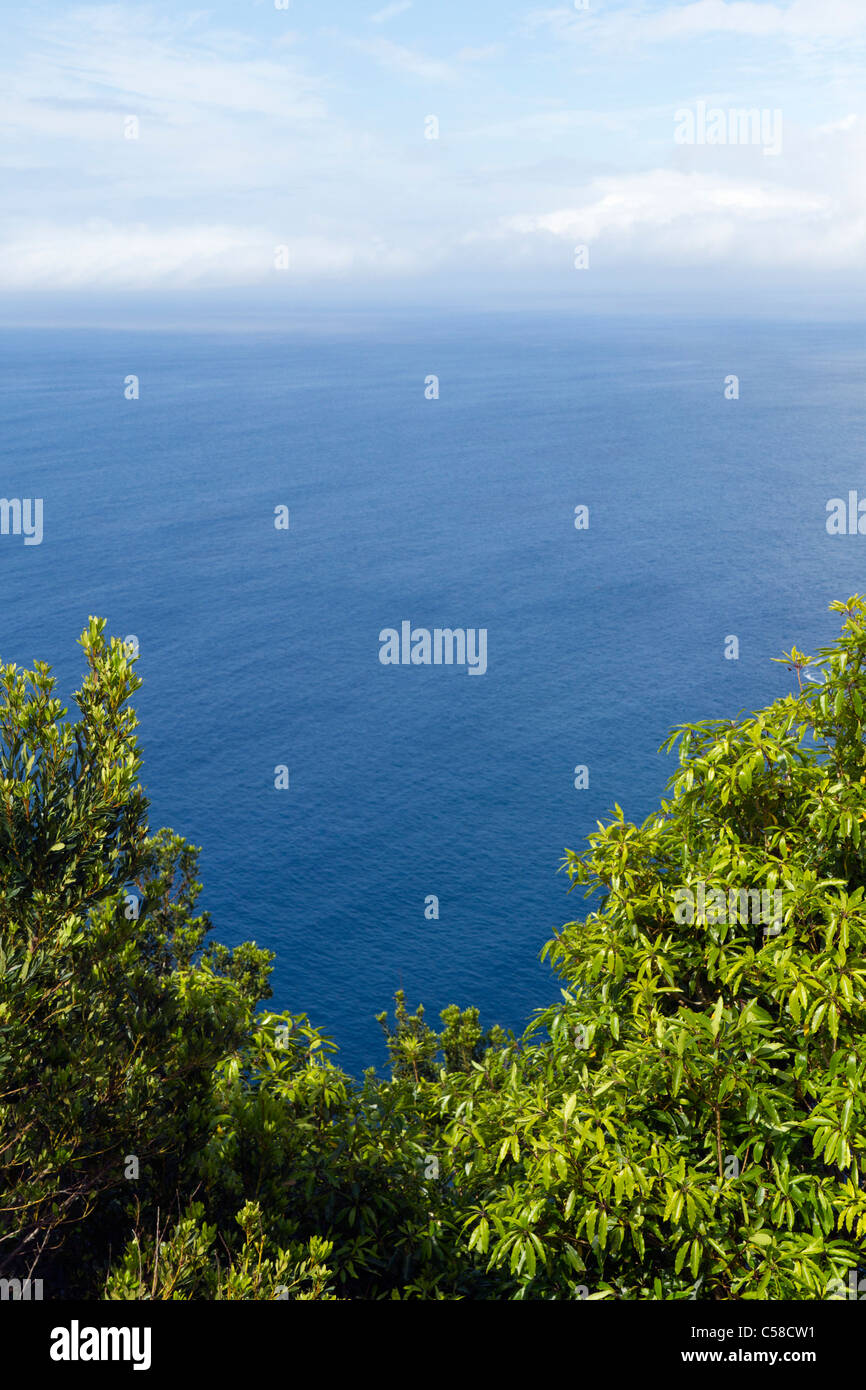 Vue depuis St Iria vue, l''île de São Miguel, aux Açores. Banque D'Images