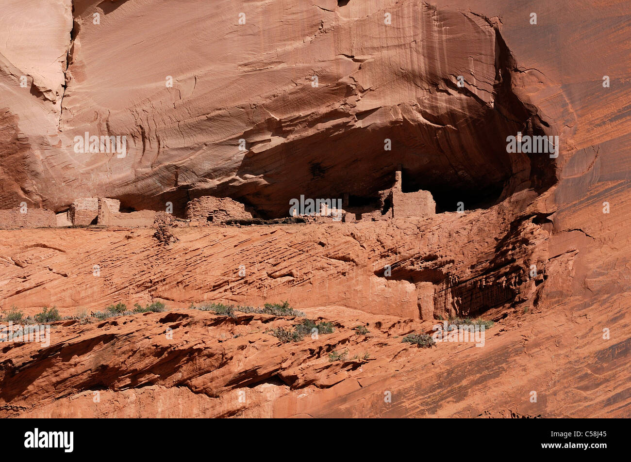 Les Indiens Anasazi, ruines, North Canyon, Canyon del Muerto, Canyon de Chelly, National Monument, Arizona, USA, United States, Americ Banque D'Images