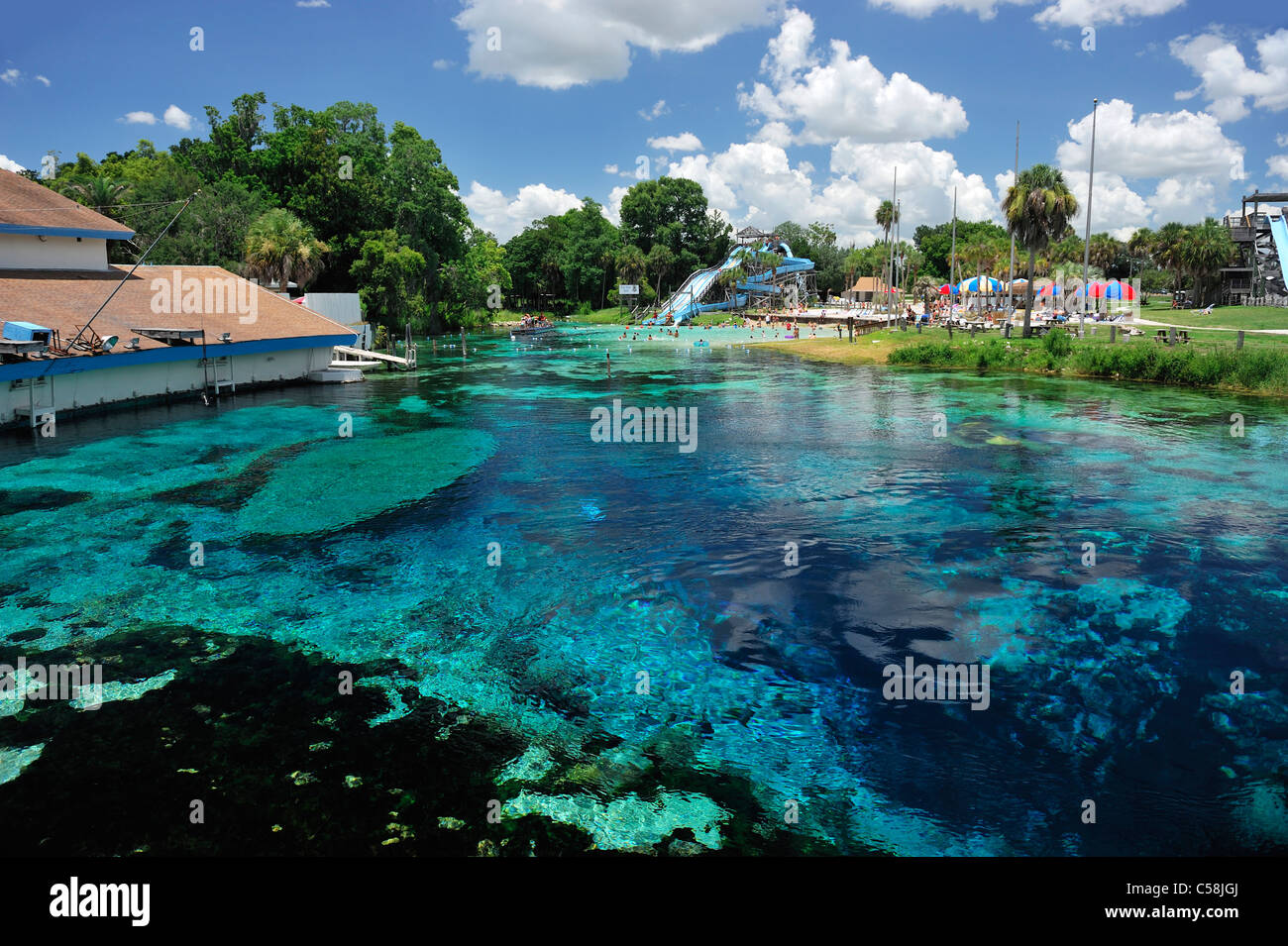 Automne/Hiver, Printemps, parc aquatique, Weeki Wachee Springs State Park, de l'eau, en Floride, USA, United States, Amérique, Banque D'Images