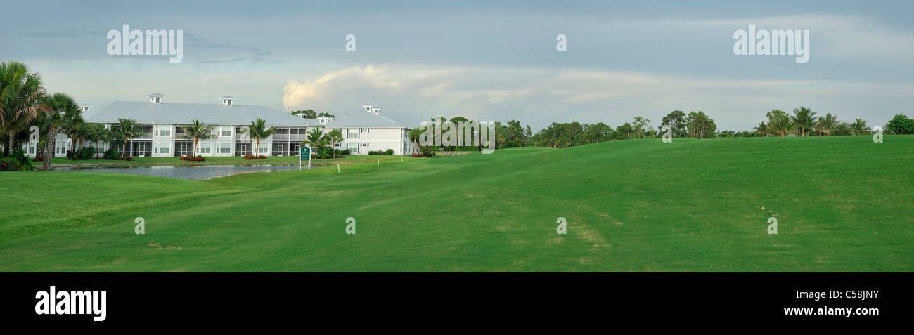 Flamingo, Golf, Lely Resort, Naples, Florida, USA, United States, Amérique, vert, herbe, golf Banque D'Images