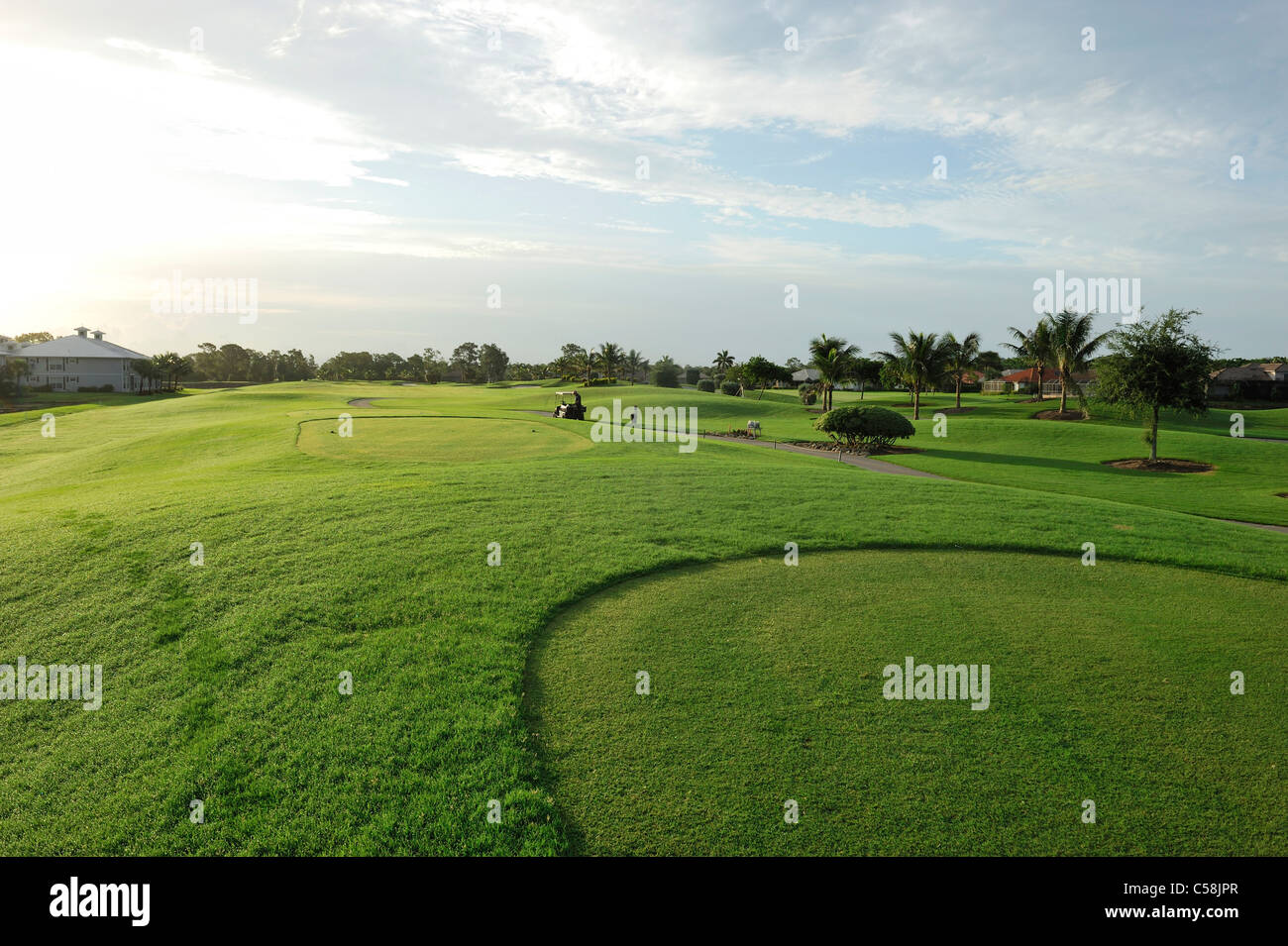 Flamingo Golf Course, golf, Lely Resort, Naples, Florida, USA, United States, Amérique du Nord, de l'herbe verte, Banque D'Images