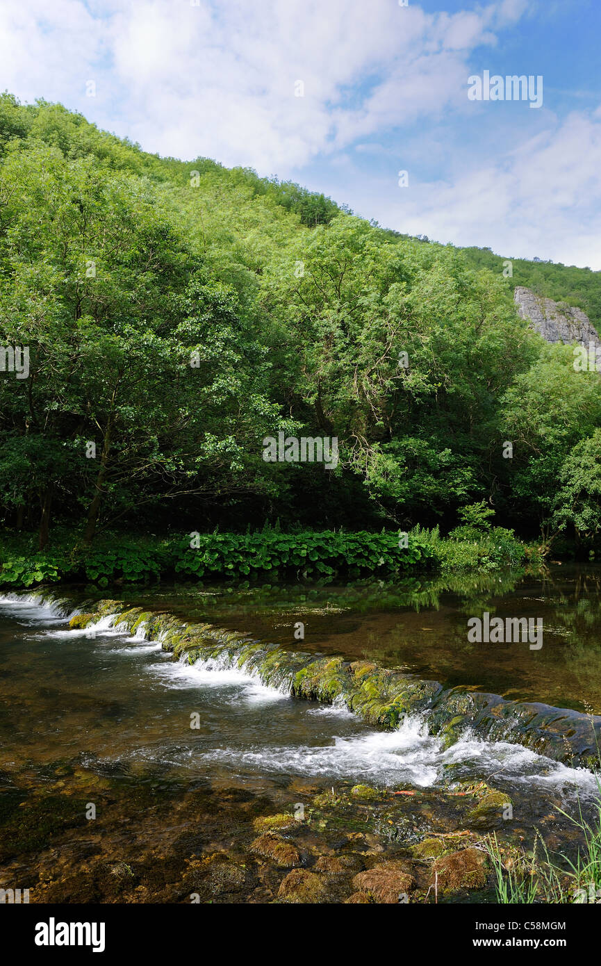 Rivière dove dovedale derbyshire, Angleterre, Royaume-Uni Banque D'Images