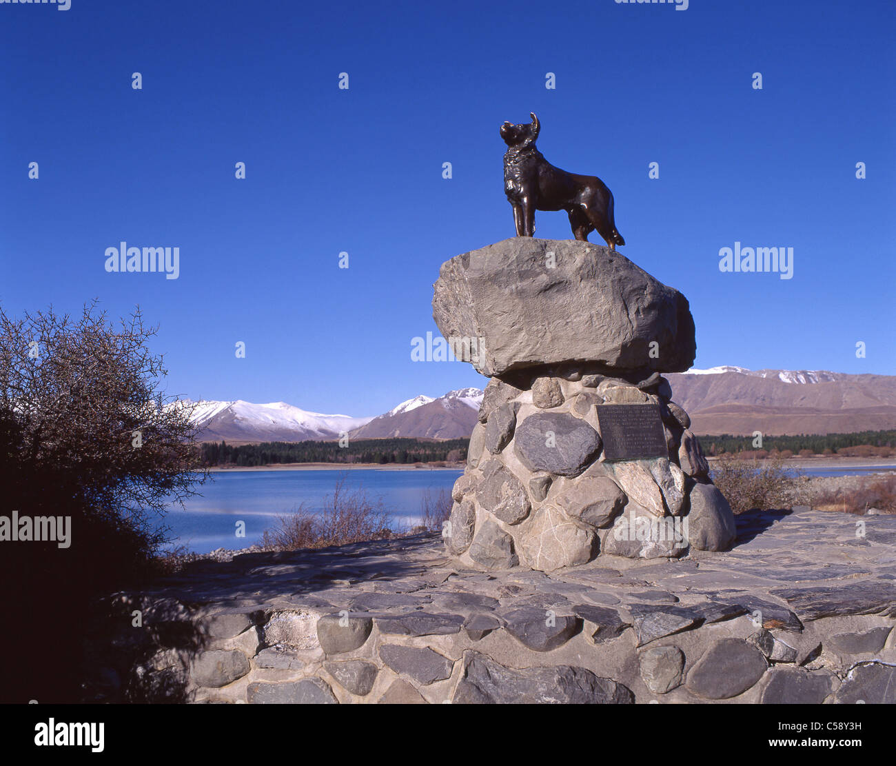 La NOUVELLE ZELANDE Collie Sheepdog statue, Lake Tekapo, District de Mackenzie, région de Canterbury, île du Sud, Nouvelle-Zélande Banque D'Images