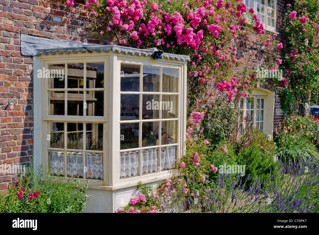 Fenêtre en baie rose ornés de rosiers grimpants sur un vieux moulin cottage dans Dorset Banque D'Images