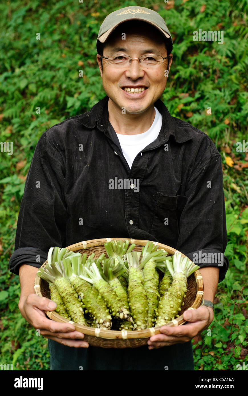 Marutou CHEF Wasabi Iida Tomoya est titulaire d'un panier de wasabi, Shimoda, Japon, le 17 octobre 2010. Banque D'Images