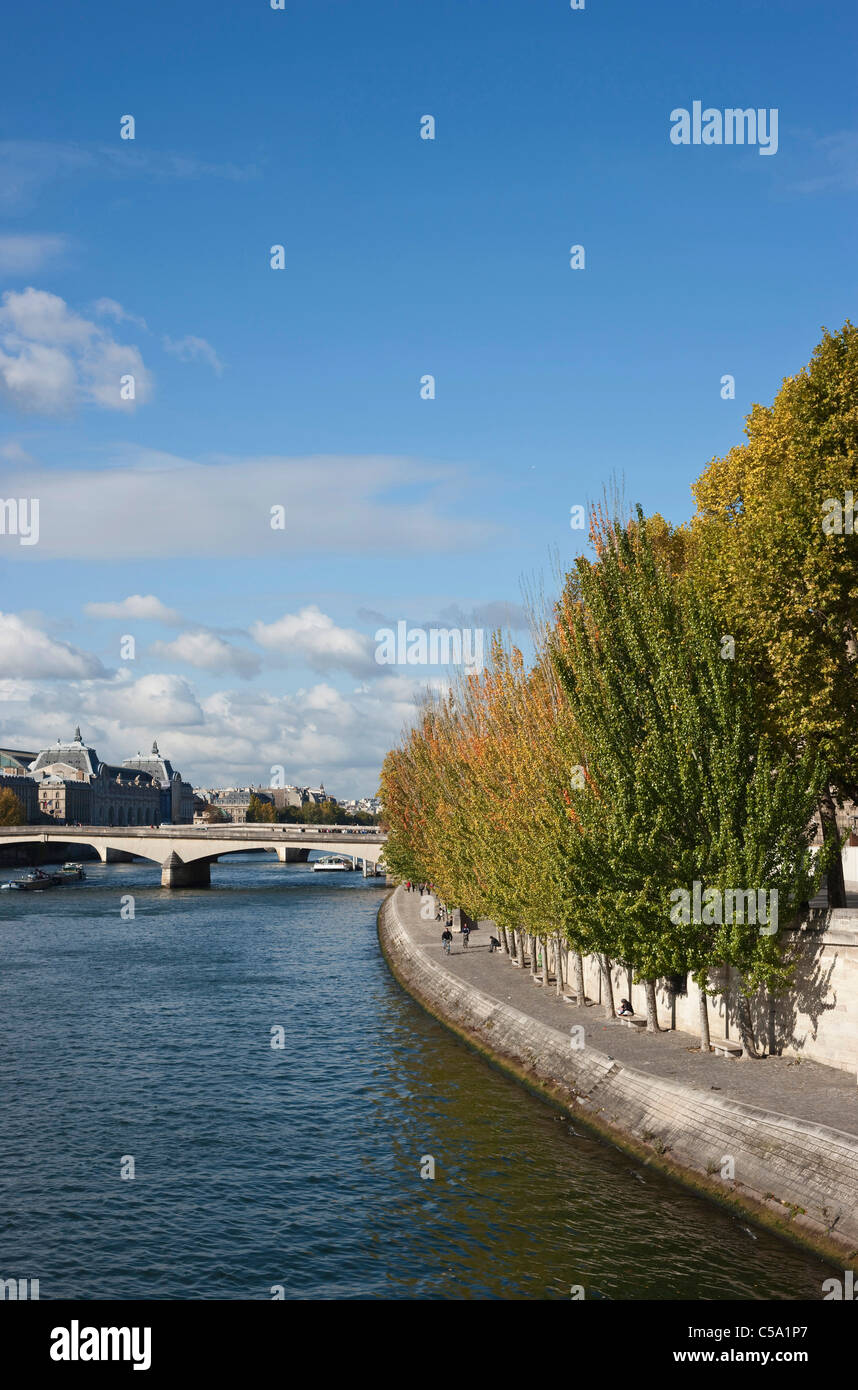 La rive nord de la fleuve Seine bordé d'arbres à l'automne le soleil. Paris. La France. Banque D'Images