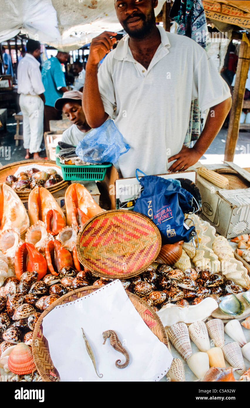 Les hippocampes et les coquillages en vente à Dar Salaam e marché , en Tanzanie. Banque D'Images