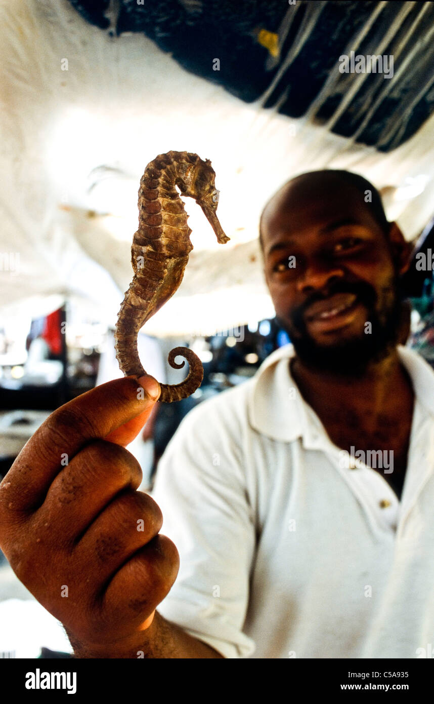 Les hippocampes et les coquillages en vente à Dar Salaam e marché , en Tanzanie. Banque D'Images