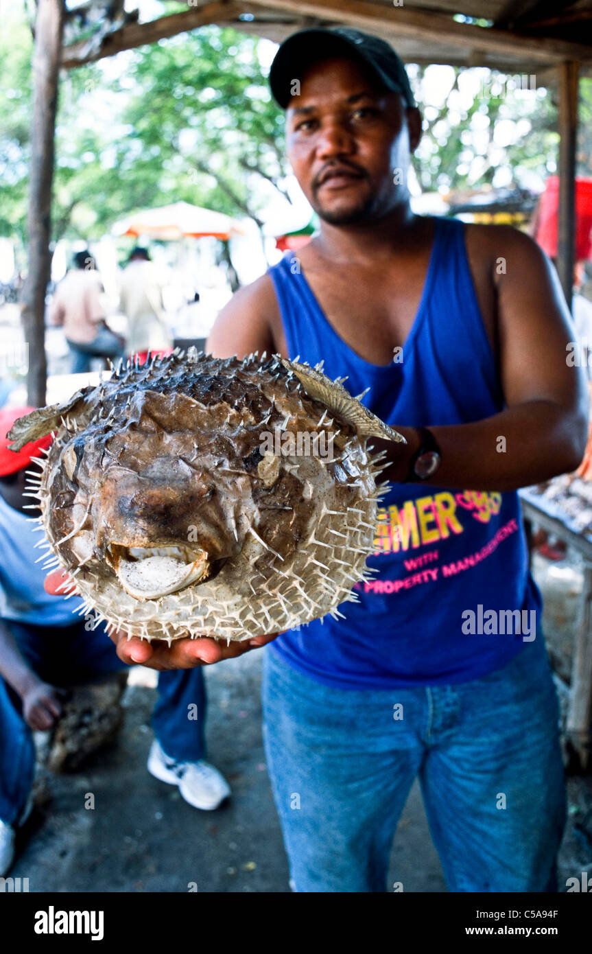 Poisson séché en vente à Dar Salaam e marché , en Tanzanie. Banque D'Images