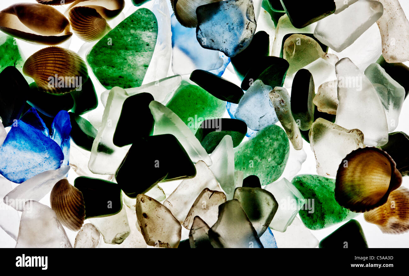Le verre et les coquillages trouvés sur la plage Banque D'Images