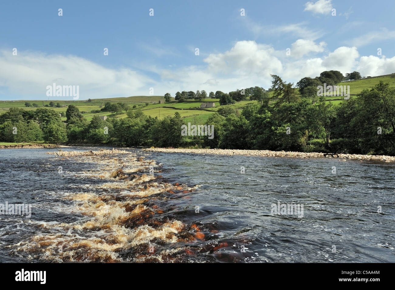 Fleuve turbulent rigole de se précipiter à travers un paysage emblématique Swaledale, Yorkshire, Angleterre Banque D'Images