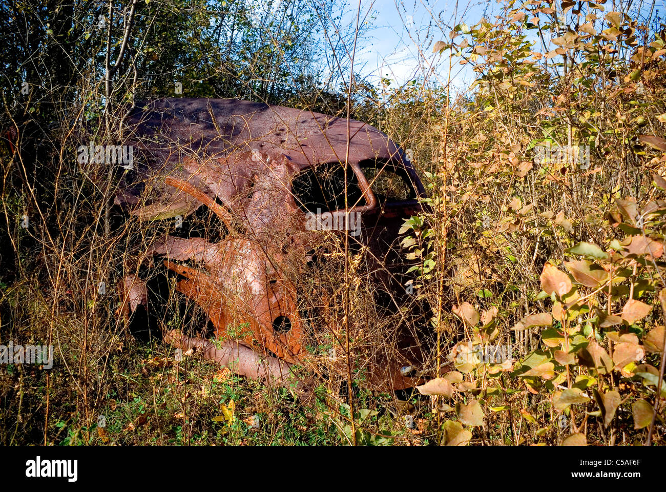 Un vieux, antique, rouillé out car se trouve oublié dans les sous-bois et de feuillage. Banque D'Images