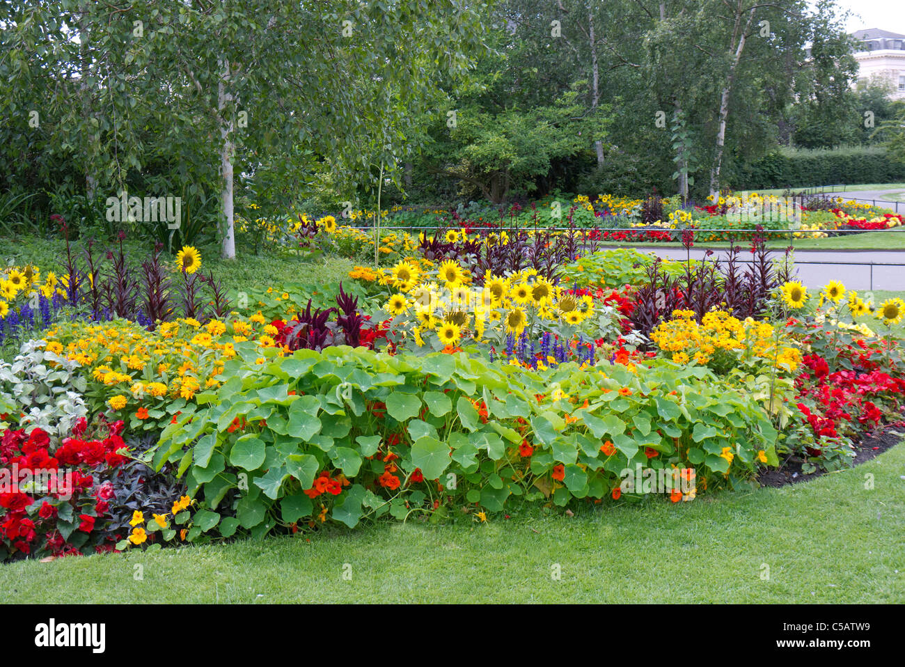 Lits de fleurs colorées dans les jardins publics de Londres Banque D'Images