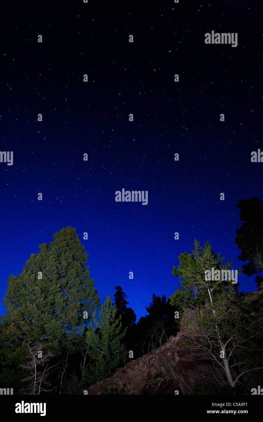 Ciel rempli d'étoiles Col Marshall, Sawatch Range, Chaffee Comté, Colorado, USA. Banque D'Images