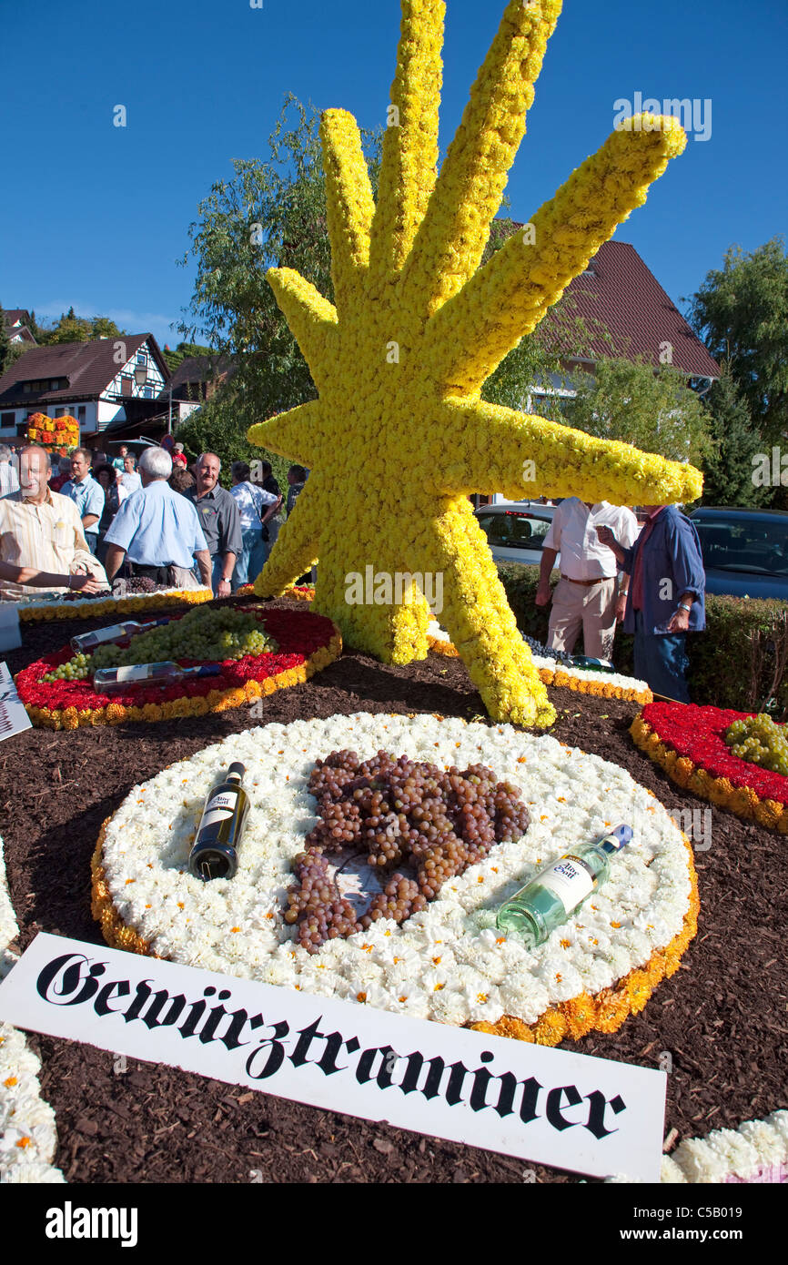 Festwagen mit Weintrauben und Blumen, Festumzug, Erntedankfest und Weinfest, Harvest Festival, jour de Thanksgiving, Forêt-Noire Banque D'Images