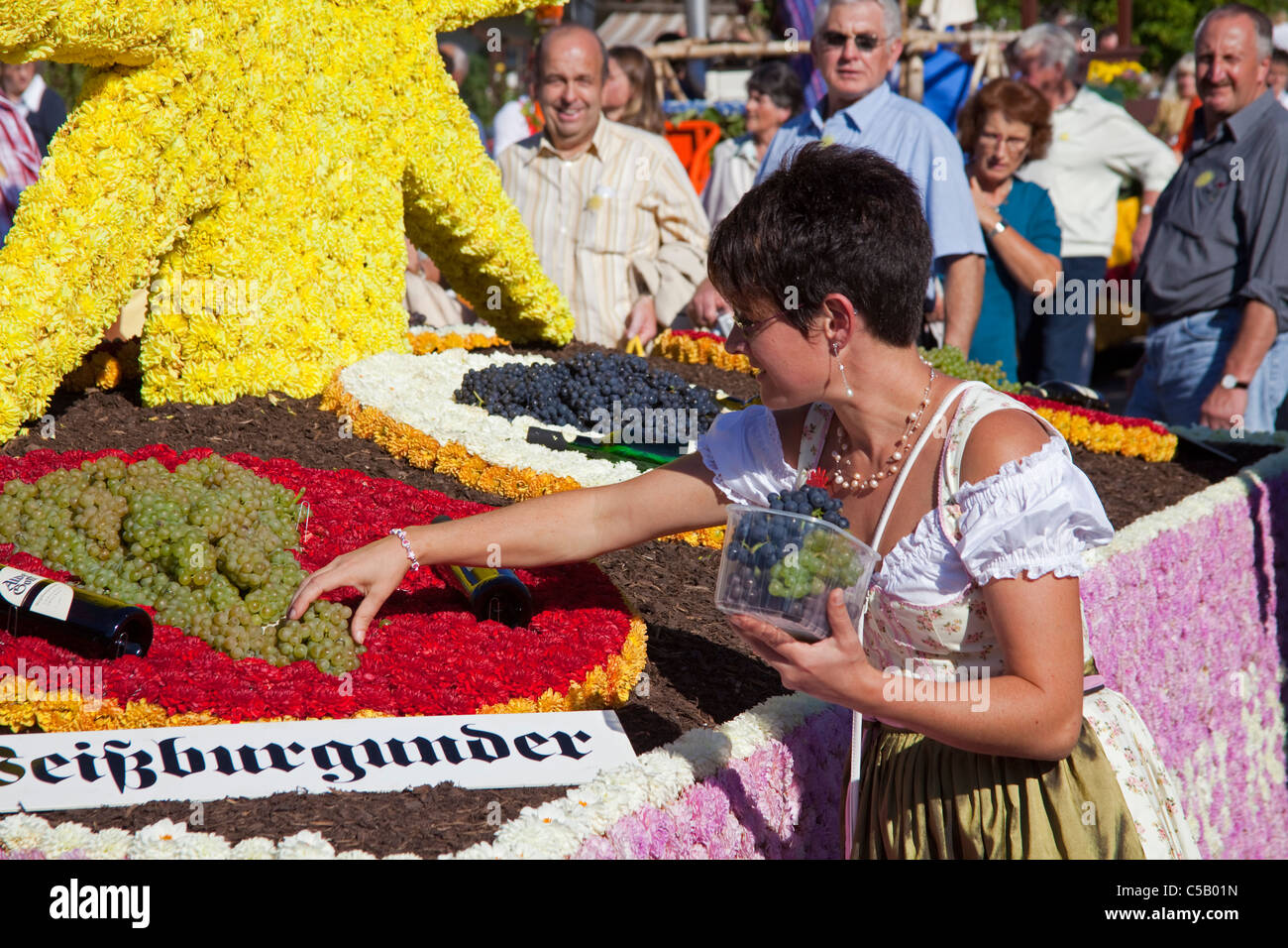 Festwagen mit Weintrauben, Festumzug, Erntedankfest und Weinfest, Harvest Festival, jour de Thanksgiving, Forêt-Noire Banque D'Images
