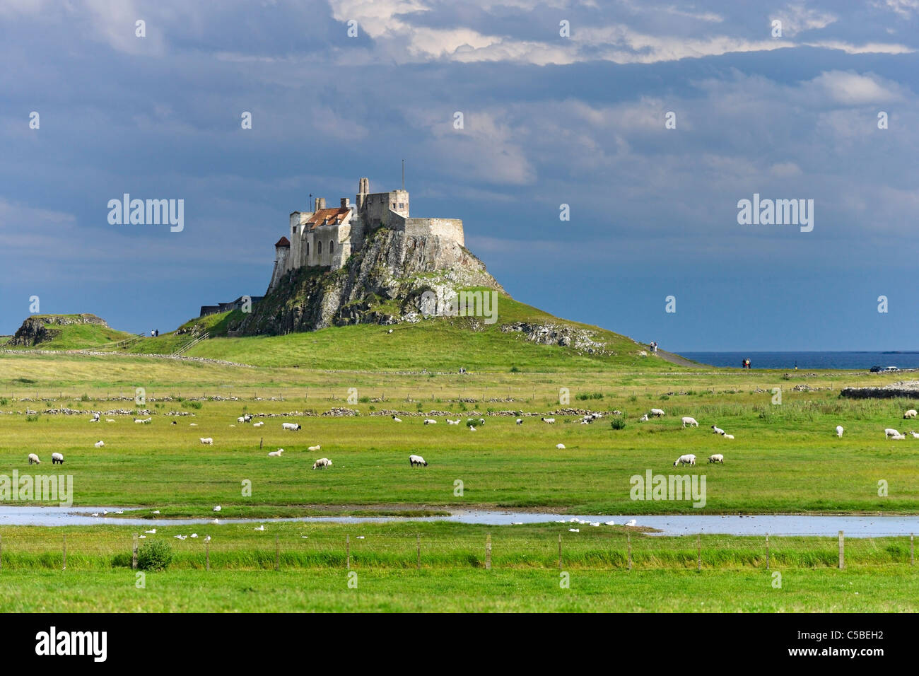 Château de Lindisfarne, Holy Island, Northumberland, Angleterre du Nord-Est, Royaume-Uni Banque D'Images