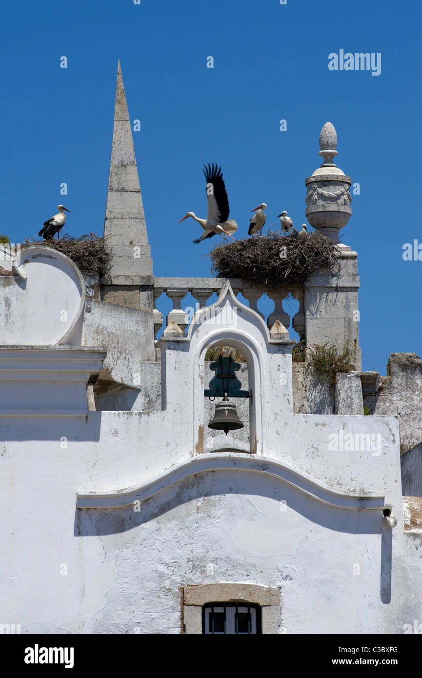Le Portugal, l'Algarve, Faro, cigognes' niche sur l'Arco da Vila bell tower Banque D'Images