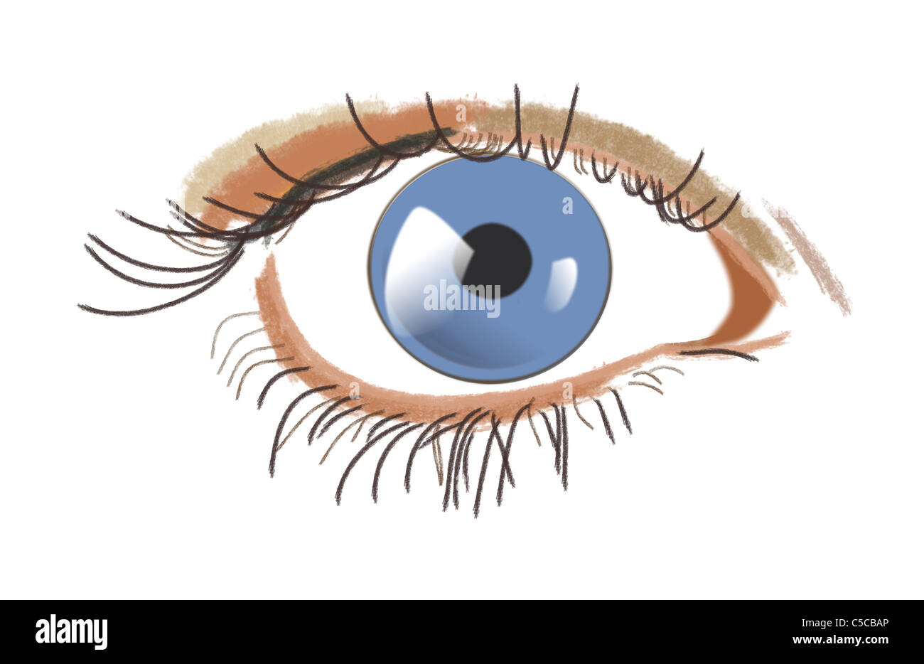 Dessin d'une blue eye (œil droit). Banque D'Images