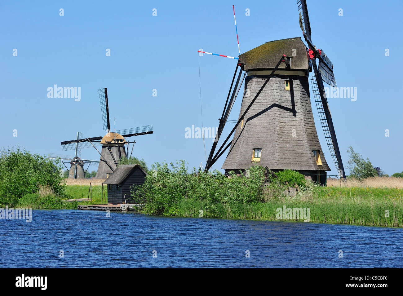 Polder de chaume longeant le canal des Moulins à Kinderdijk, Site du patrimoine mondial de l'UNESCO au sud de la Hollande, les Pays-Bas Banque D'Images