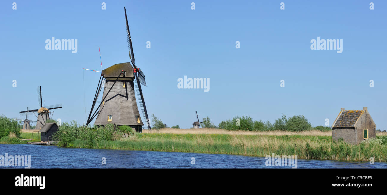 Polder de chaume longeant le canal des Moulins à Kinderdijk, Site du patrimoine mondial de l'UNESCO au sud de la Hollande, les Pays-Bas Banque D'Images