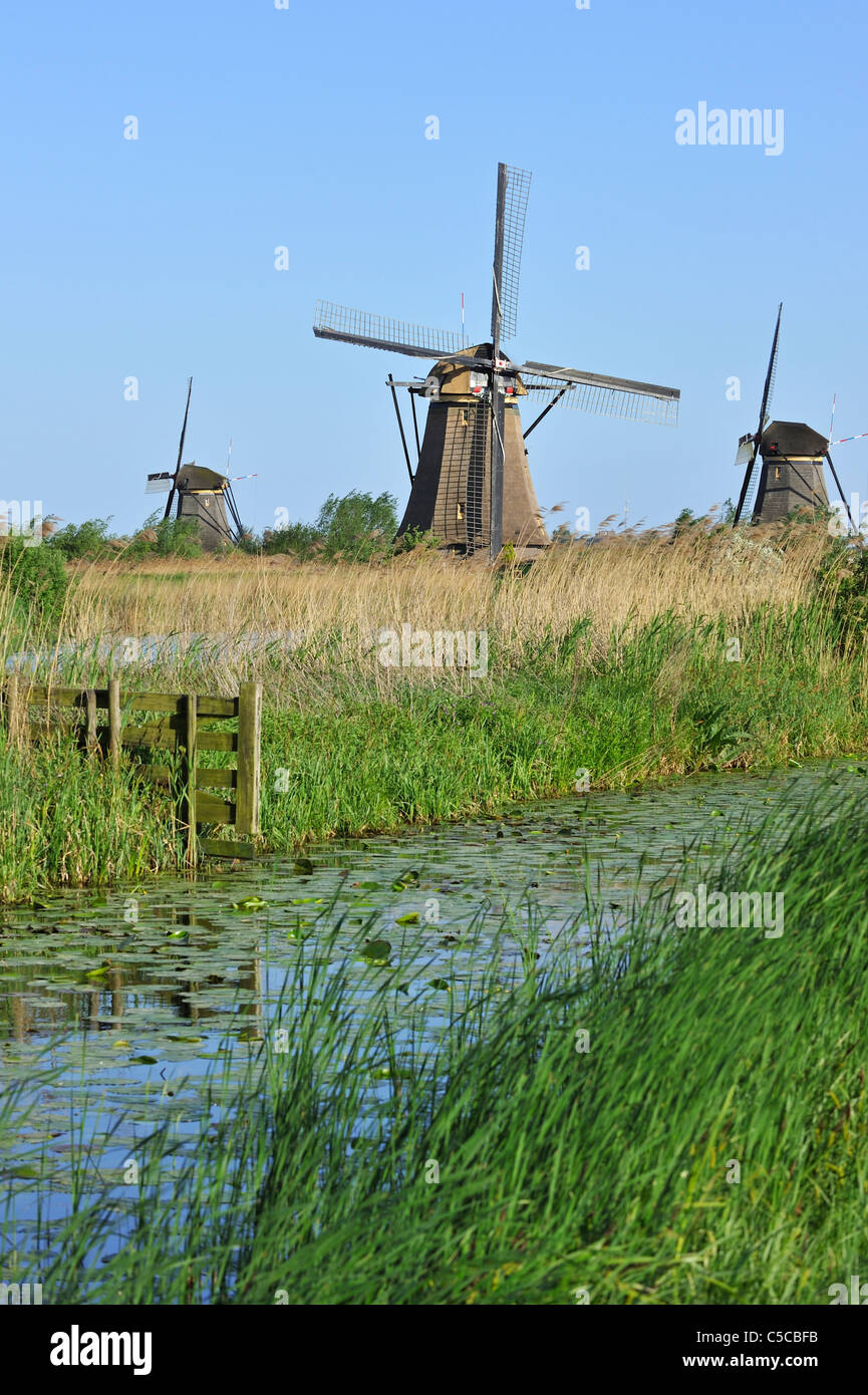 Polder de chaume moulins à vent à Kinderdijk, Site du patrimoine mondial de l'UNESCO au sud de la Hollande, les Pays-Bas Banque D'Images