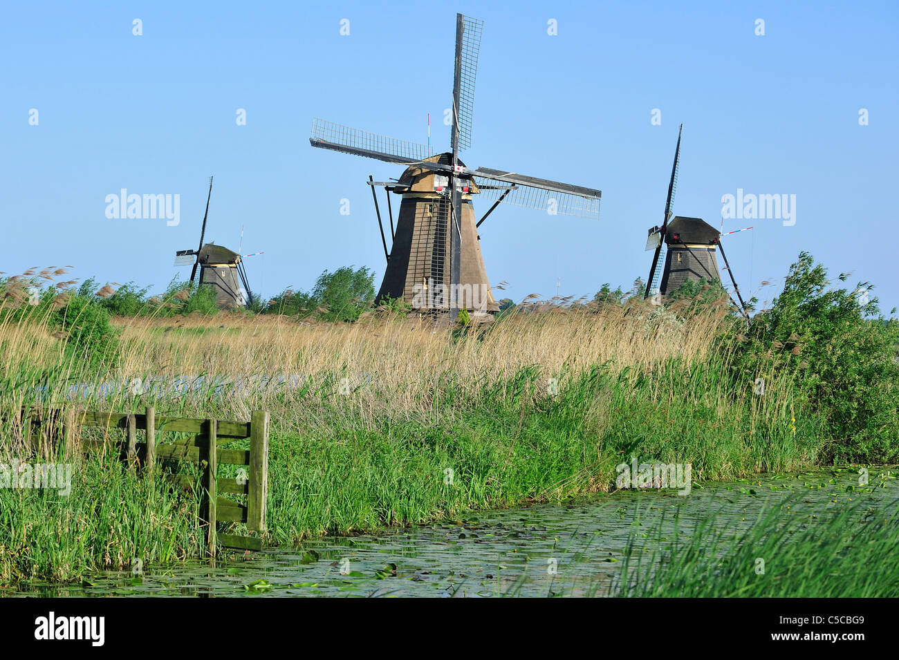 Polder de chaume moulins à vent à Kinderdijk, Site du patrimoine mondial de l'UNESCO au sud de la Hollande, les Pays-Bas Banque D'Images