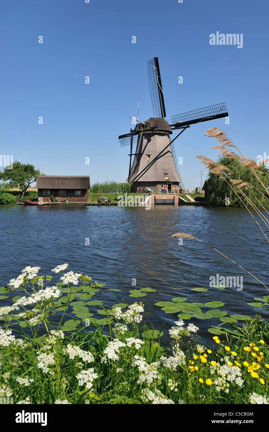 Polder moulin de chaume le long de canal à Kinderdijk, Site du patrimoine mondial de l'UNESCO au sud de la Hollande, les Pays-Bas Banque D'Images