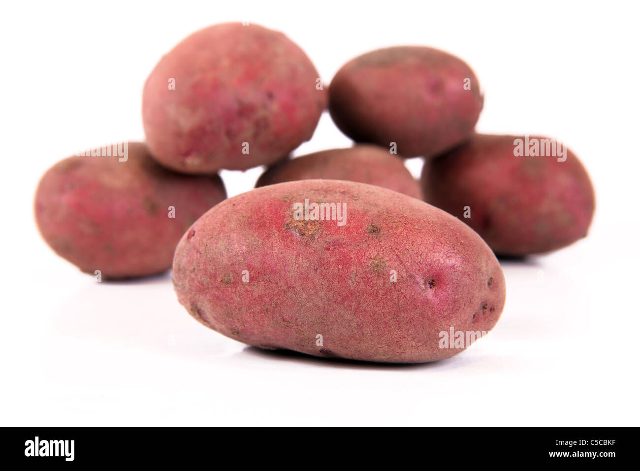 Duke of York rouge les pommes de terre sur un fond blanc Banque D'Images