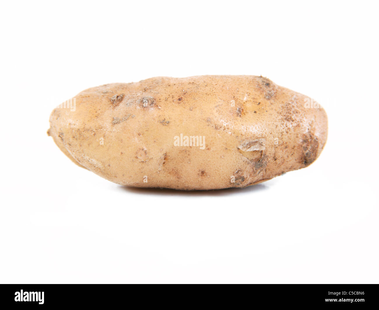 Anya les pommes de terre sur un fond blanc Banque D'Images