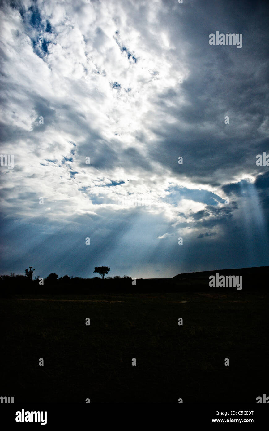 Ciel d'orage, les nuages et les rayons, Masai Mara National Reserve, Kenya, Africa Banque D'Images