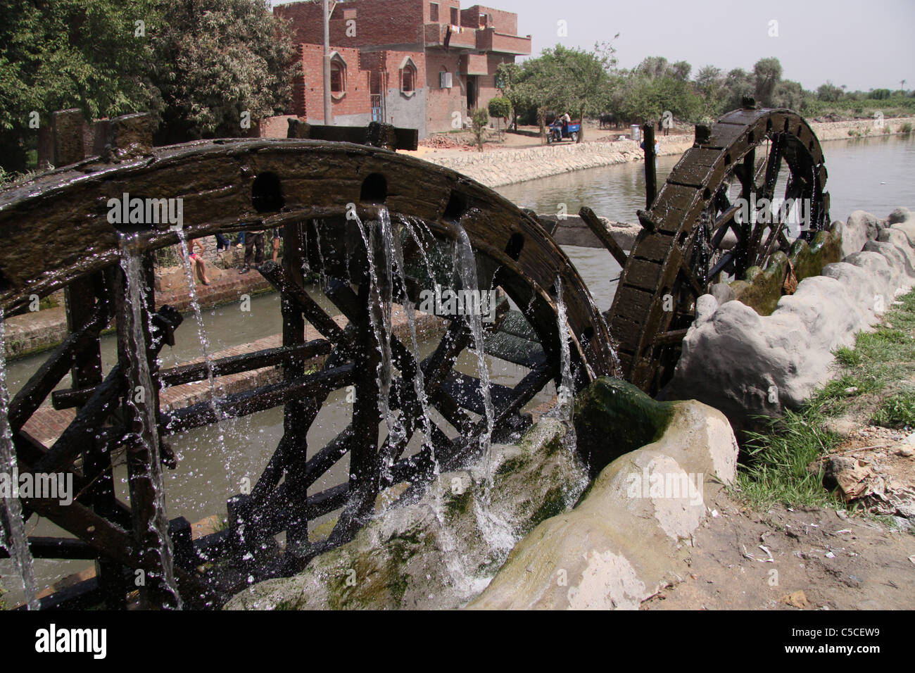 Les roues de l'eau d'irrigation à l'ouest du désert -Égypte Fayoum Banque D'Images