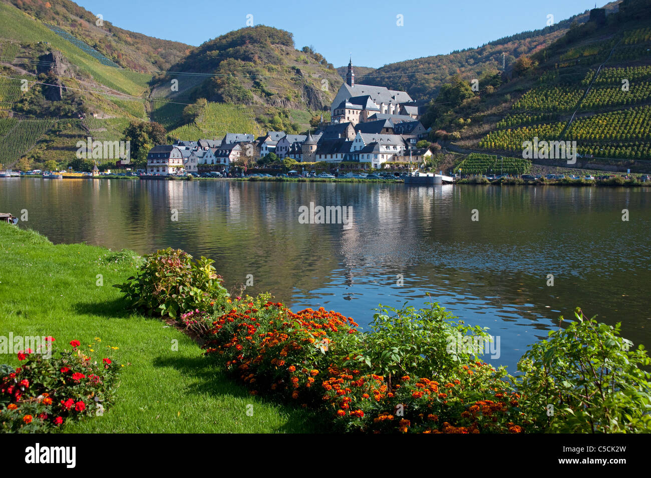 Moselufer mit Blumen im Herbst Mittelmosel, Beilstein, fleurs à la Moselle, le village d'automne à Beilstein Banque D'Images