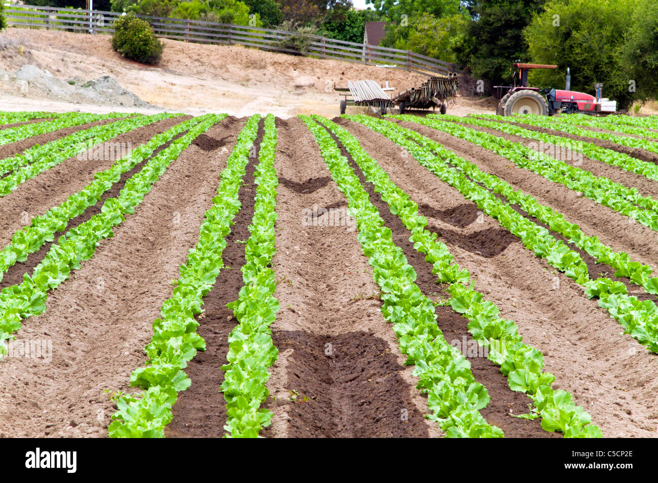 Les terres agricoles de la vallée de Salinas, en Californie, USA Banque D'Images