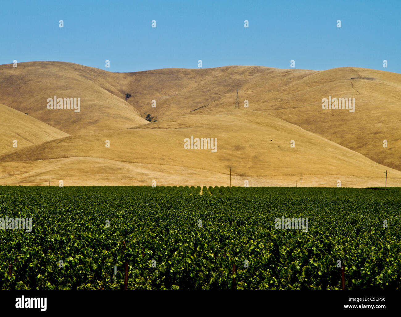 Les terres agricoles de la vallée de Salinas, en Californie, USA Banque D'Images