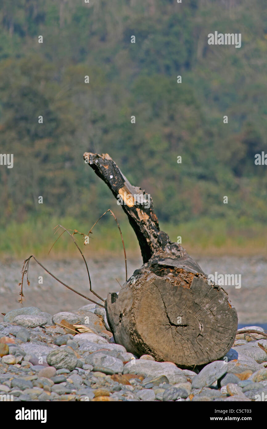 Maisons en bois rond au lit du fleuve, de l'Arunachal Pradesh, Miao, Inde Banque D'Images Maisons en bois rond au lit du fleuve, de l'Arunachal Pradesh, Miao, Inde Banque D'Images