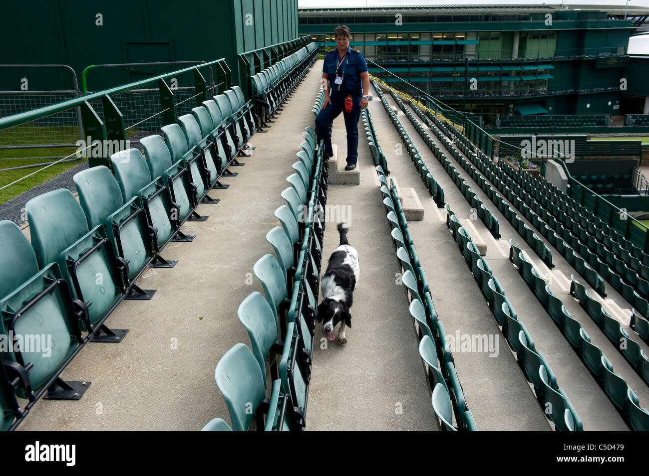 Chiens de Travail sur 18 au cours de la Cour 2011 Championnats de tennis de Wimbledon Banque D'Images