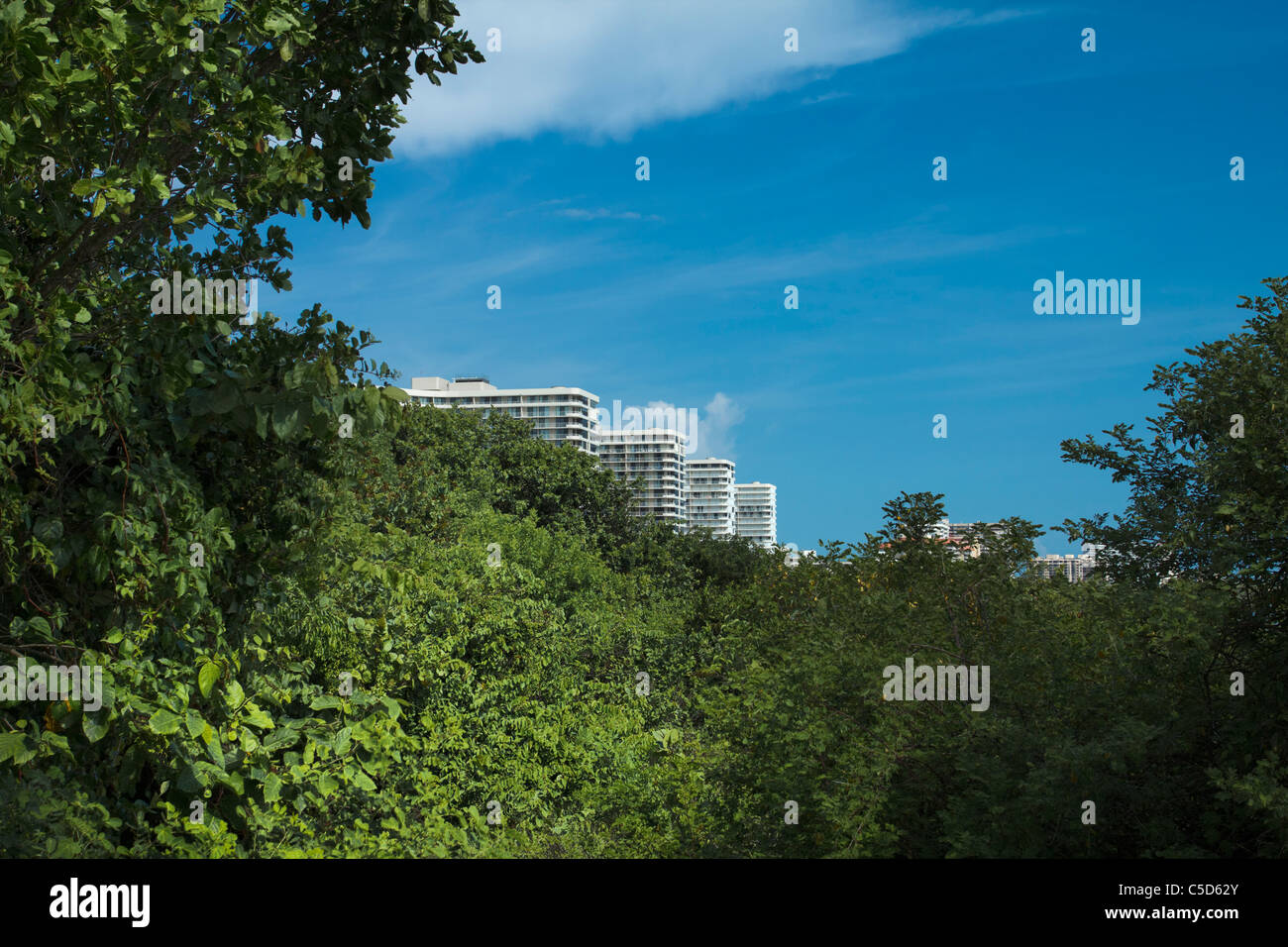 Avis de Marco Island Tigertail Beach condos à partir de Banque D'Images